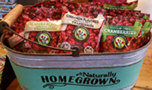 Cranberry Treat