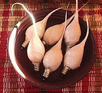Dipped Bulbs