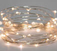 Fairy Lights