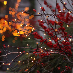 Mini Lights